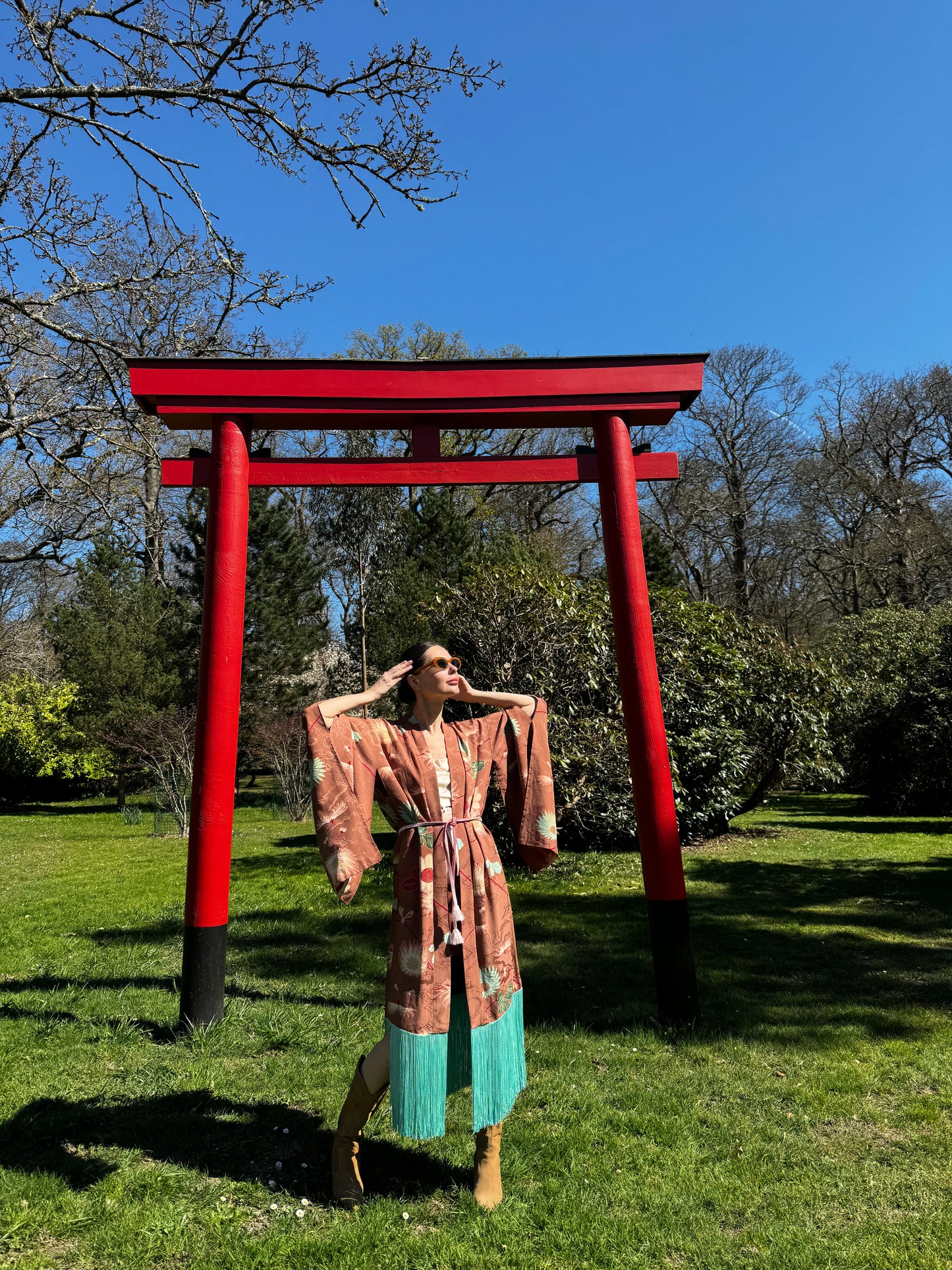 Chrysanthemum with contrast fringe 
